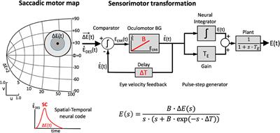 Double Stimulation in a Spiking Neural Network Model of the Midbrain Superior Colliculus